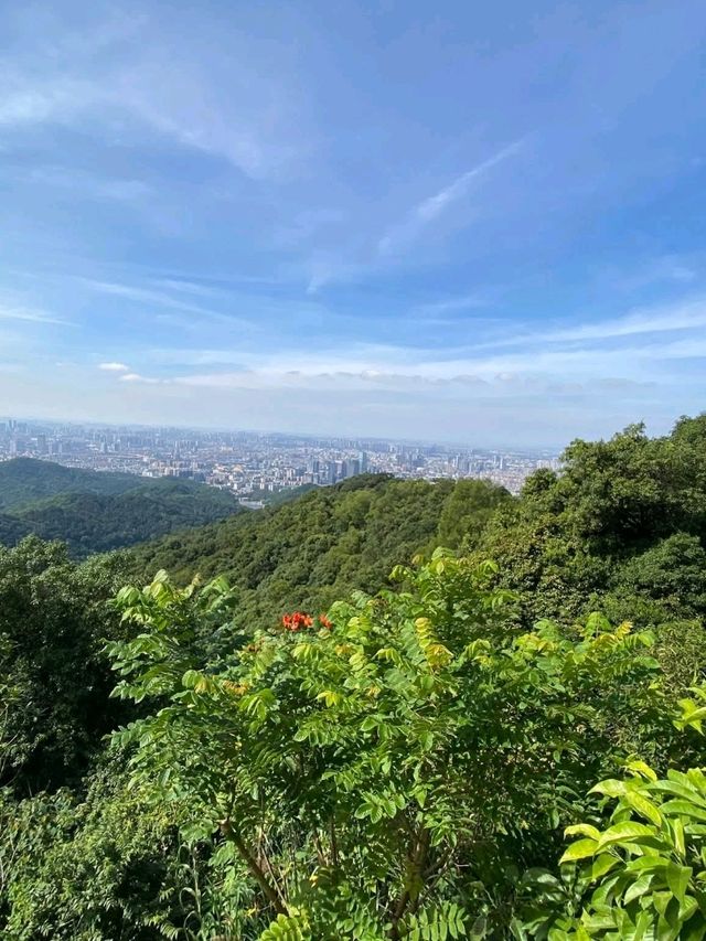 Skyline Sparkle type of city you have to visit at least once 🌃 Skyline Sparkle type of city you have to visit at least once 🌃