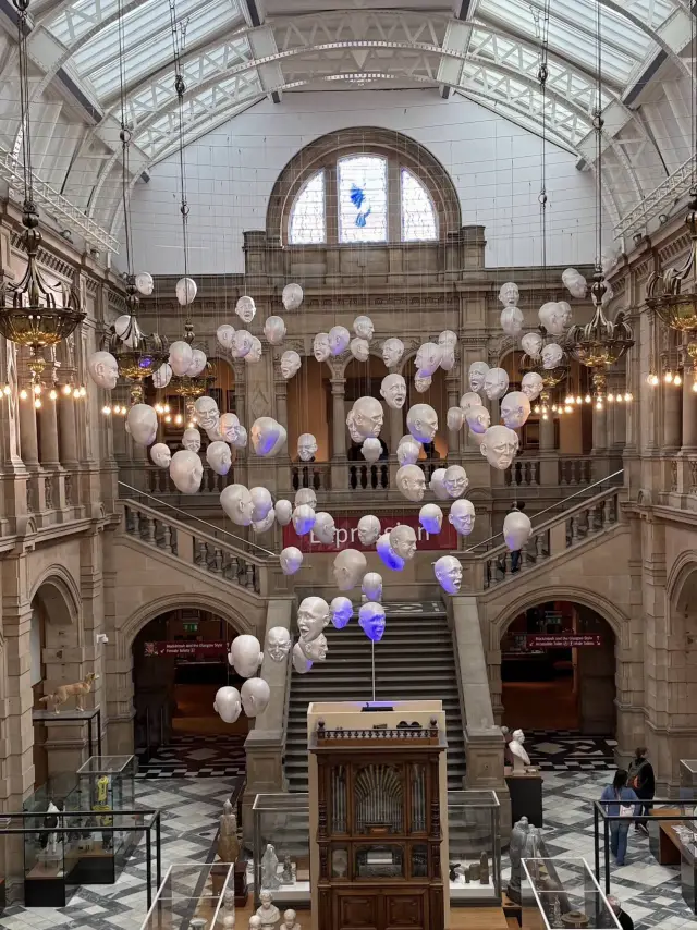 ✨ A Walk Through the Heart of Kelvingrove – Art, Light, and Timeless Stories 🏛️🌟 