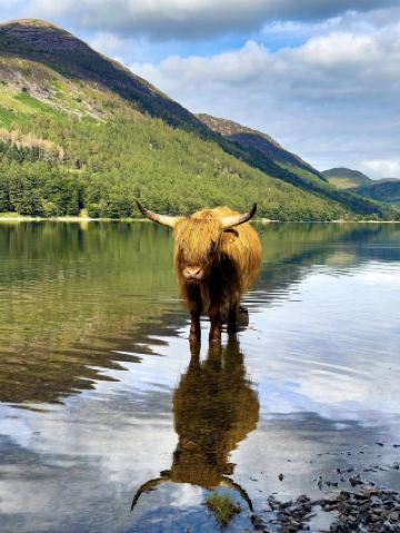 Mist, Mountains, and Memory-Making