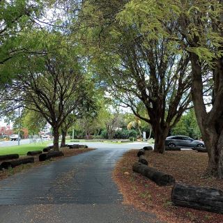 สวนพฤกษศาสตร์ประจำภูมิภาคแม็กเคย์