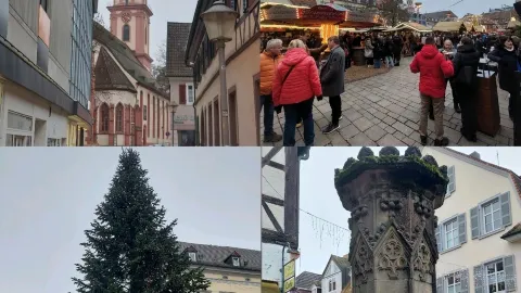德國奧芬堡，「黑森林之門」 — traveler post in 奧芬堡