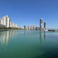 Shenzhen bay Shekou, Miami 😎