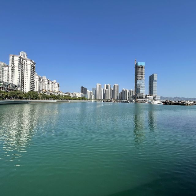 Shenzhen bay Shekou, Miami 😎