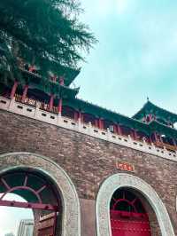 The View from Nanjing Wall