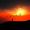 caladria_2235