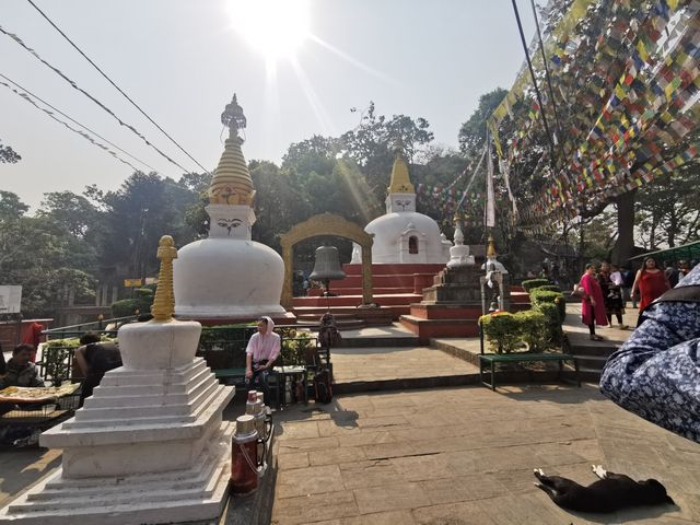 Nepal Kathmandu Monkey Temple