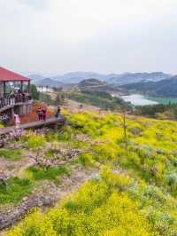 Changxing Taojiawu Rural Hotel, even ten miles of peach forest can't hide it!