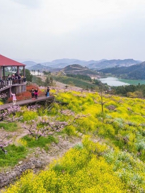 Changxing Taojiawu Rural Hotel, even ten miles of peach forest can't hide it!