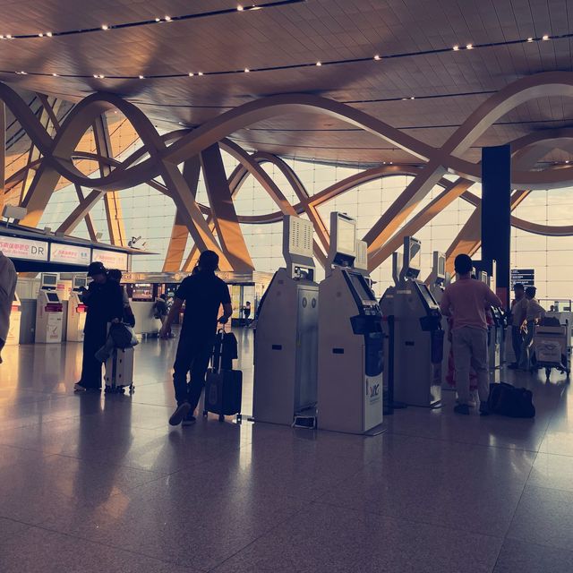 ✈️ Catch a flight not some feelings 
