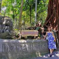 Bali's Cheeky Residents @Monkey Forest