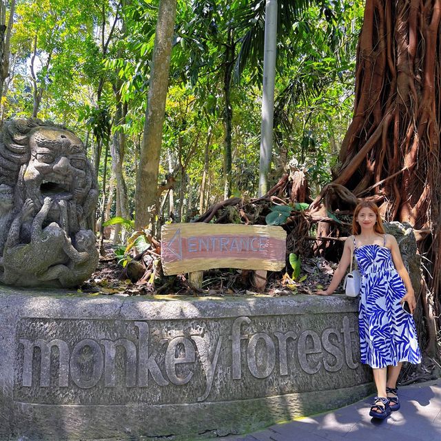 Bali's Cheeky Residents @Monkey Forest
