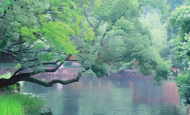 廣東中山公園｜此生難以忘懷的唯美風景