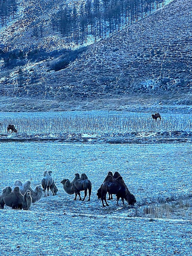 冬季內蒙古自駕|紅石崖 -哈達門越野攻略