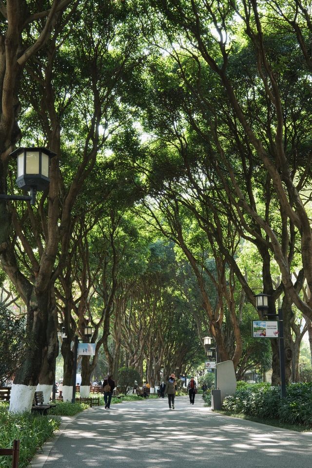 廈門中山公園|城市後花園