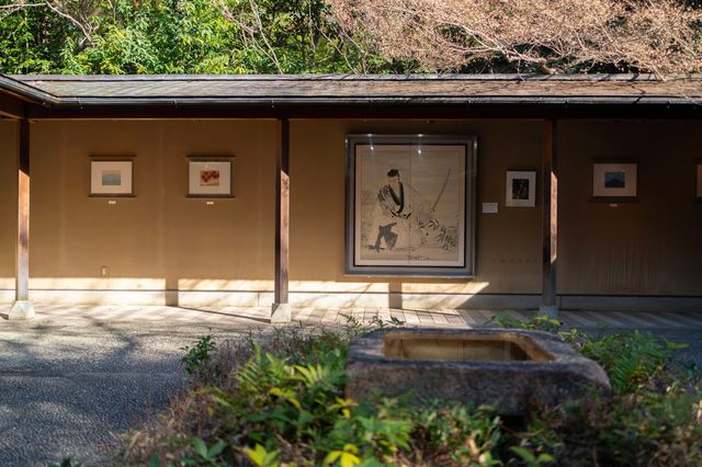 迷失在京都與奈良：嵐山、東大寺與奈良公園