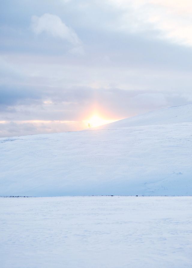 內蒙古烏蘭布統｜可以治癒一切的林海雪原