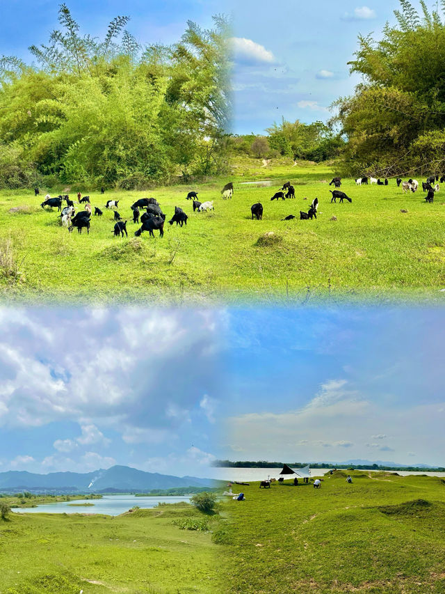 發現惠州橫歷新村露營草地，周末出遊好去處！