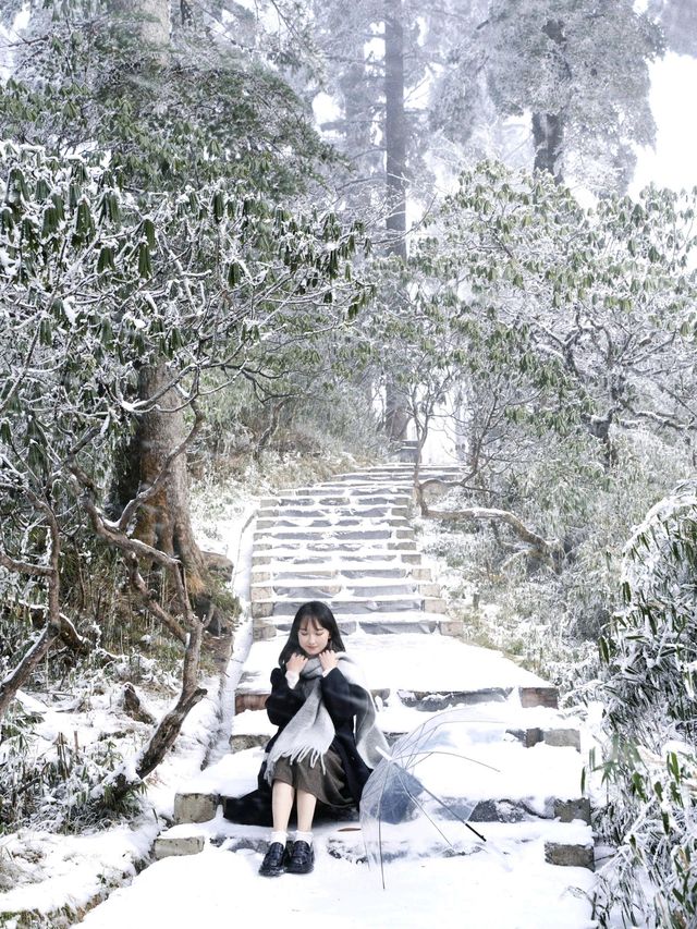 不是北海道去不起，而是成都3h看雪更性價比