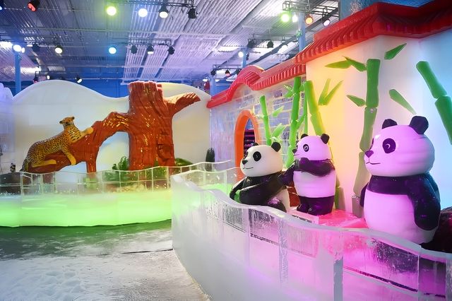 深圳人有自己的“爾濱”！｜深圳野生動物園裡的冰雪世界!