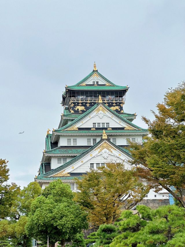 行走的五花肉——大阪一日暴走