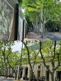 上海｜徐家匯衡山路