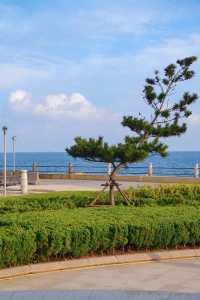 青島·雕塑園看海何必去石老人人擠人？