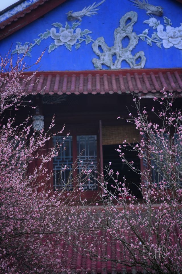 福州—林陽禪寺