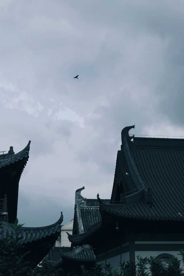 發現上海|真如寺真的好,就是鴿子shi太多咯 發現上海|真如寺真的好,就是鴿子shi太多咯