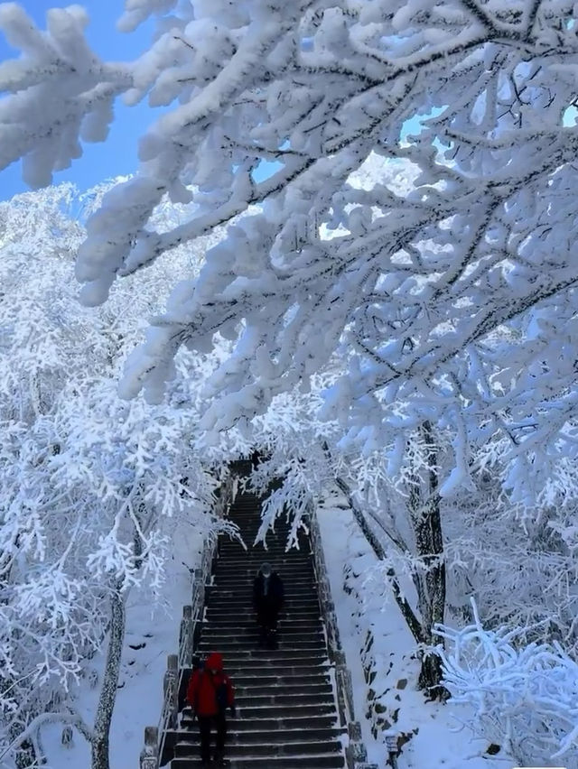 不做天上仙，願做黃山客