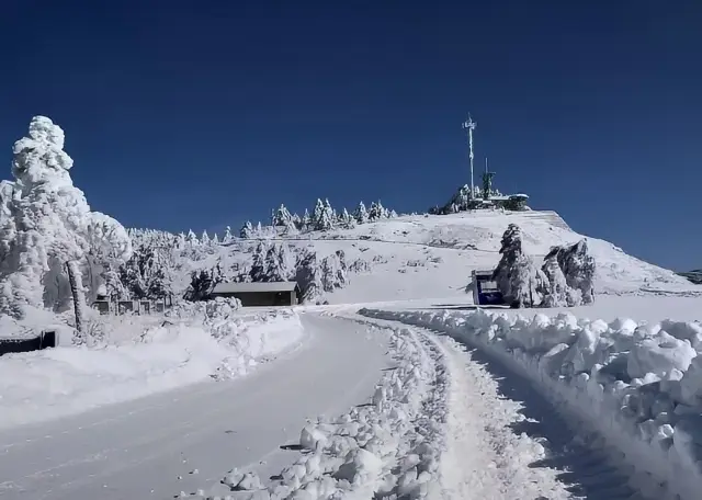 南方の人々にとって、神農架で雪を見てスキーをすること以上に適した場所はありますか？