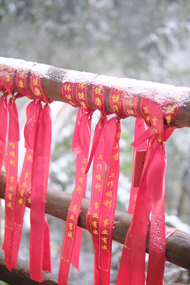 在雲上仙境偶遇初雪