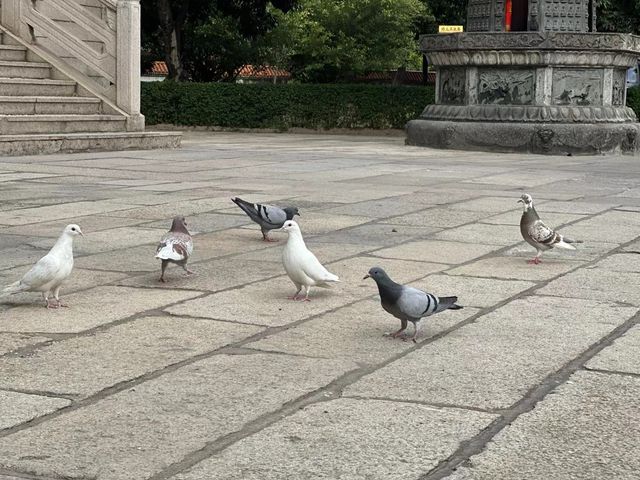 西禪寺