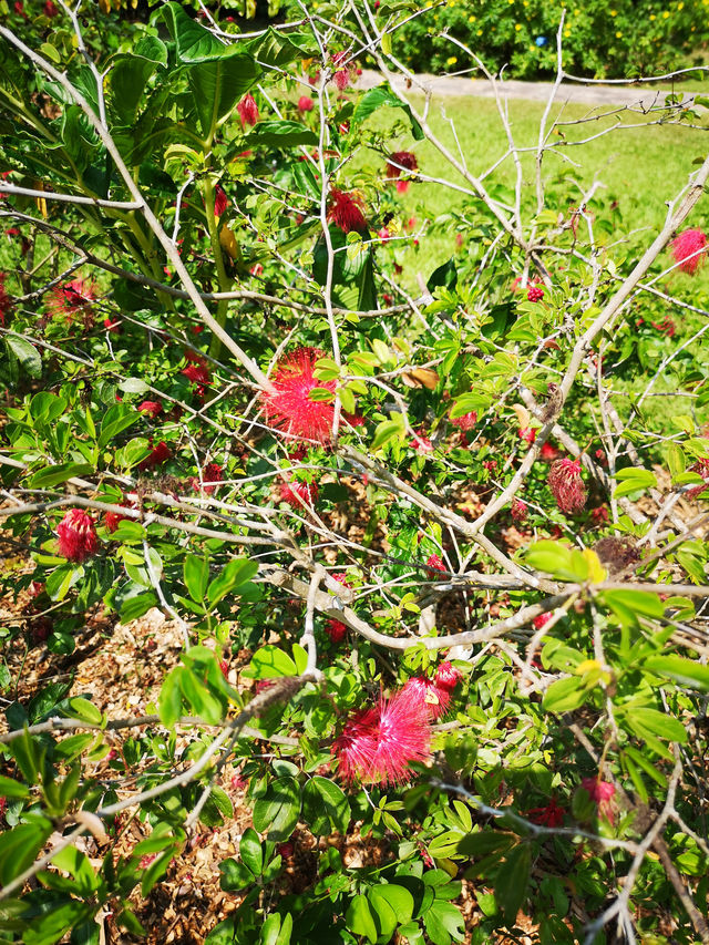 逛公園增長知識，好玩好玩