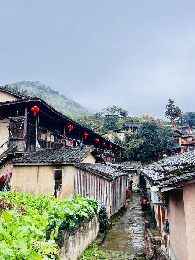 福建漳州｜看土樓，一定要去世界建築奇蹟的田螺坑！