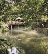 廈門植物園 仿彿誤入愛麗絲仙境