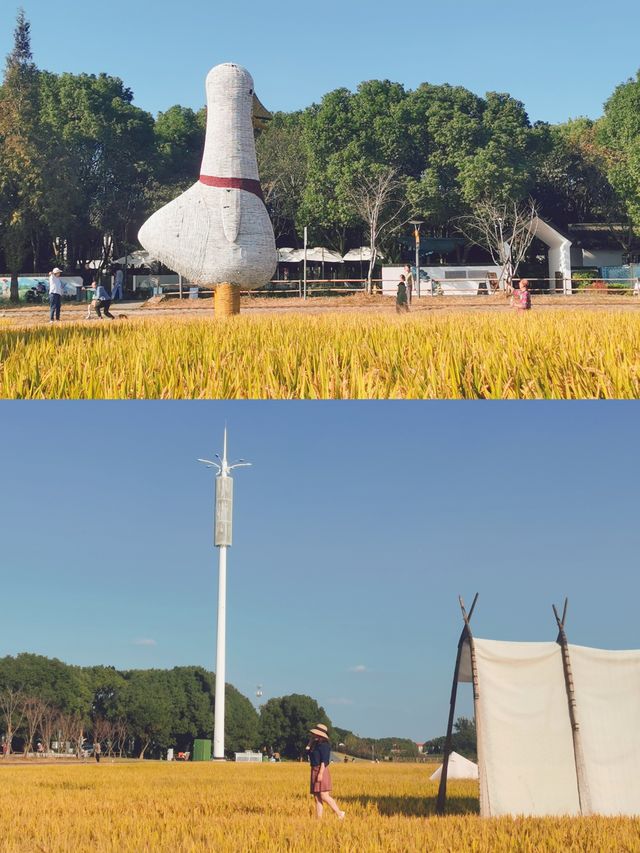 暢遊昆山|走近理想村—計家墩