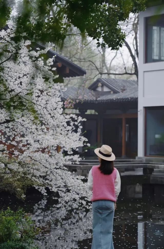 春に訪れるべき桜の名所