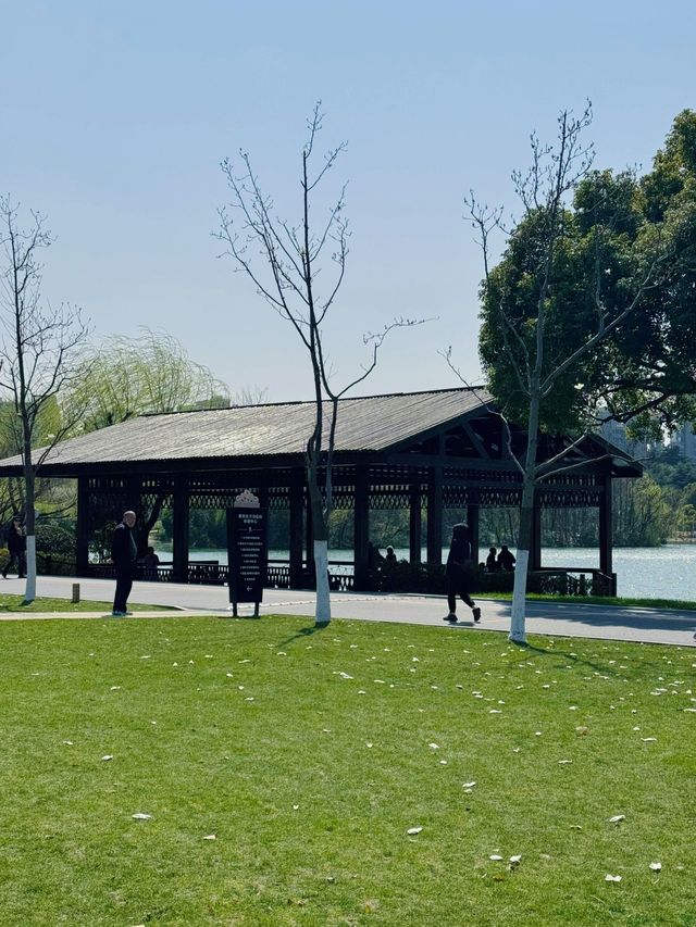 大寧公園｜50萬株鬱金香花海｜賞花地圖&攻略