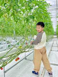 周末親子遊，踏青賞花上海鮮花港攻略