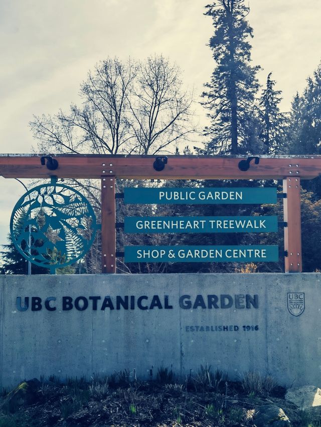 不列顛哥倫比亞大學植物園，溫哥華的春花爛漫