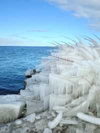 安大略湖畔冰花綻放，晶瑩剔透如夢如幻