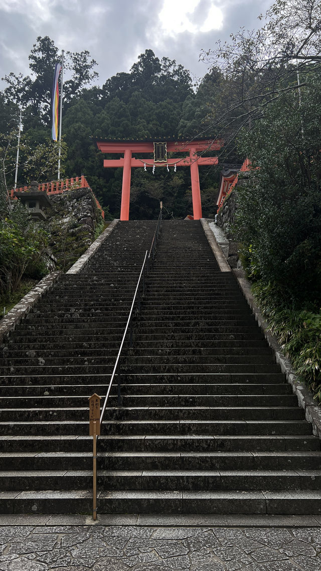 日本關西紀伊半島環線11日遊