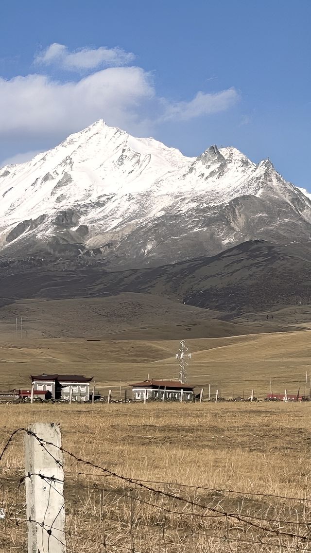 在魚子西拍到了人生美照