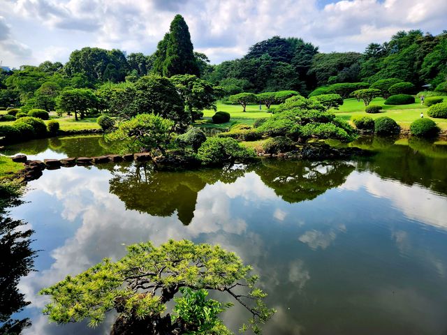 新宿御苑滿眼綠色，極其舒適！