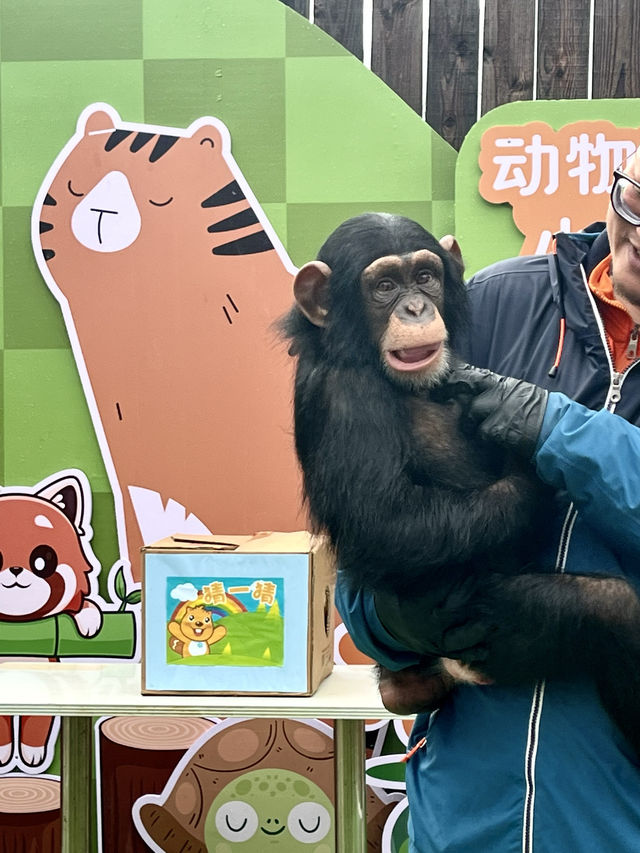 春日逛動物園真的太太太治癒啦！