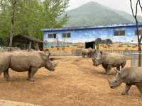 西安秦嶺野生動物園｜一日遊
