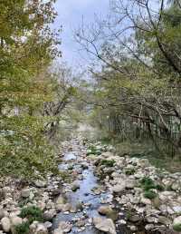 歷溪古村「戲水、喝茶、聽故事」