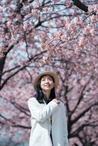 櫻花難民在東京拍到了人生照片！