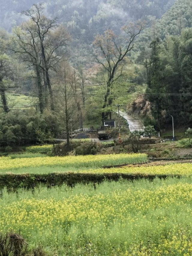 落腳水竹坑村民宿，遊鄣山大峽谷