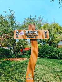 不到三小時就逛完了顧村公園